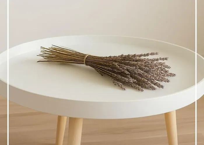 Casa La Formidable Semesterbostad Otos